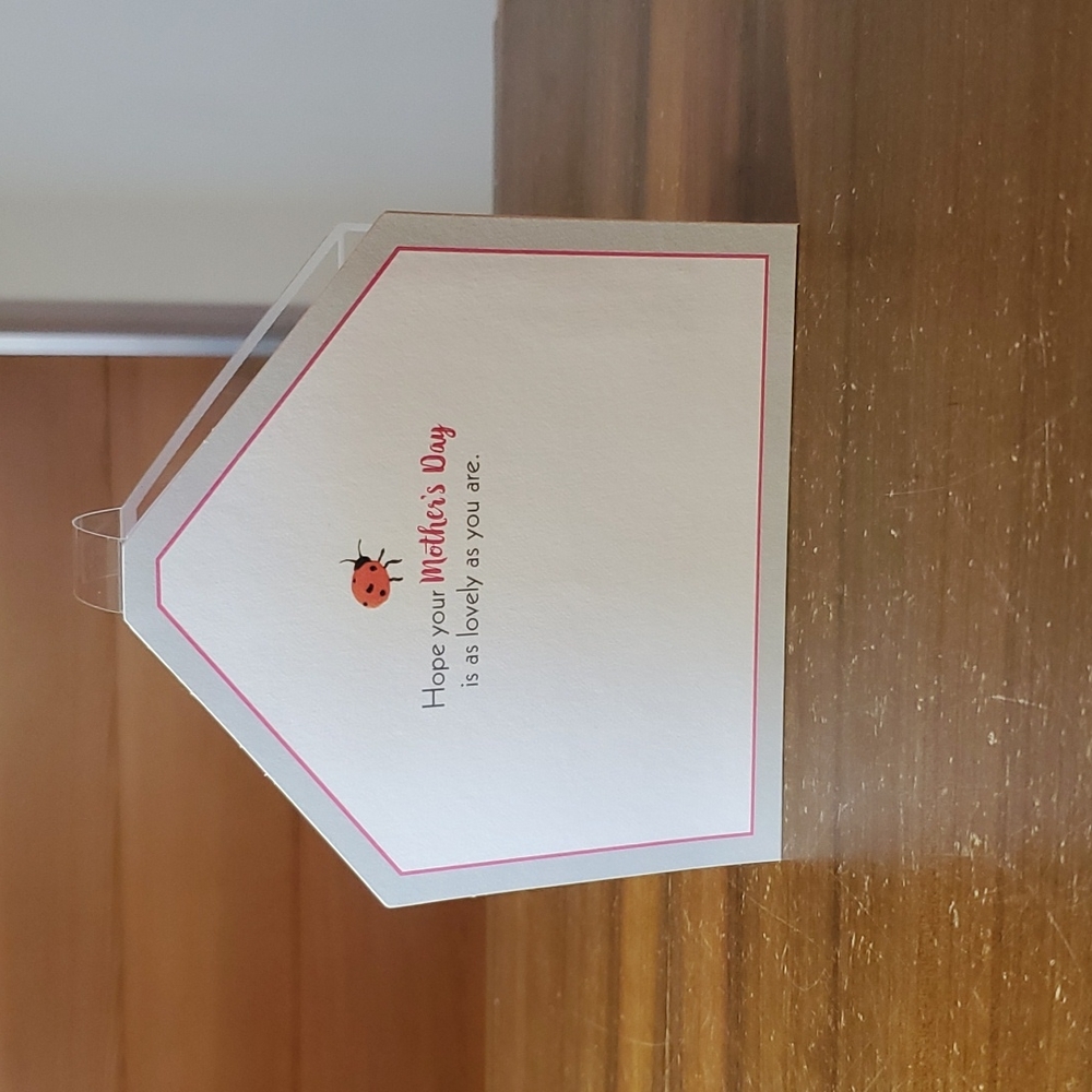๐ต ADD ON ONLY ๐ Mothers Day for ANY MOM Greenhouse flowers plantmom ladybug - Picture 6 of 6